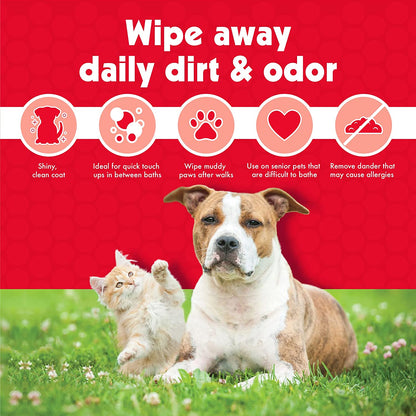 Pet Wipes for Dogs and Cats, 100 Large Wipes - Removes Dirt & Odor like Washing Hands - Cleans Ears, Face, Butt, Eye Area - Convenient, Ideal for Home or Travel - 1 Pack of 100 Wipes