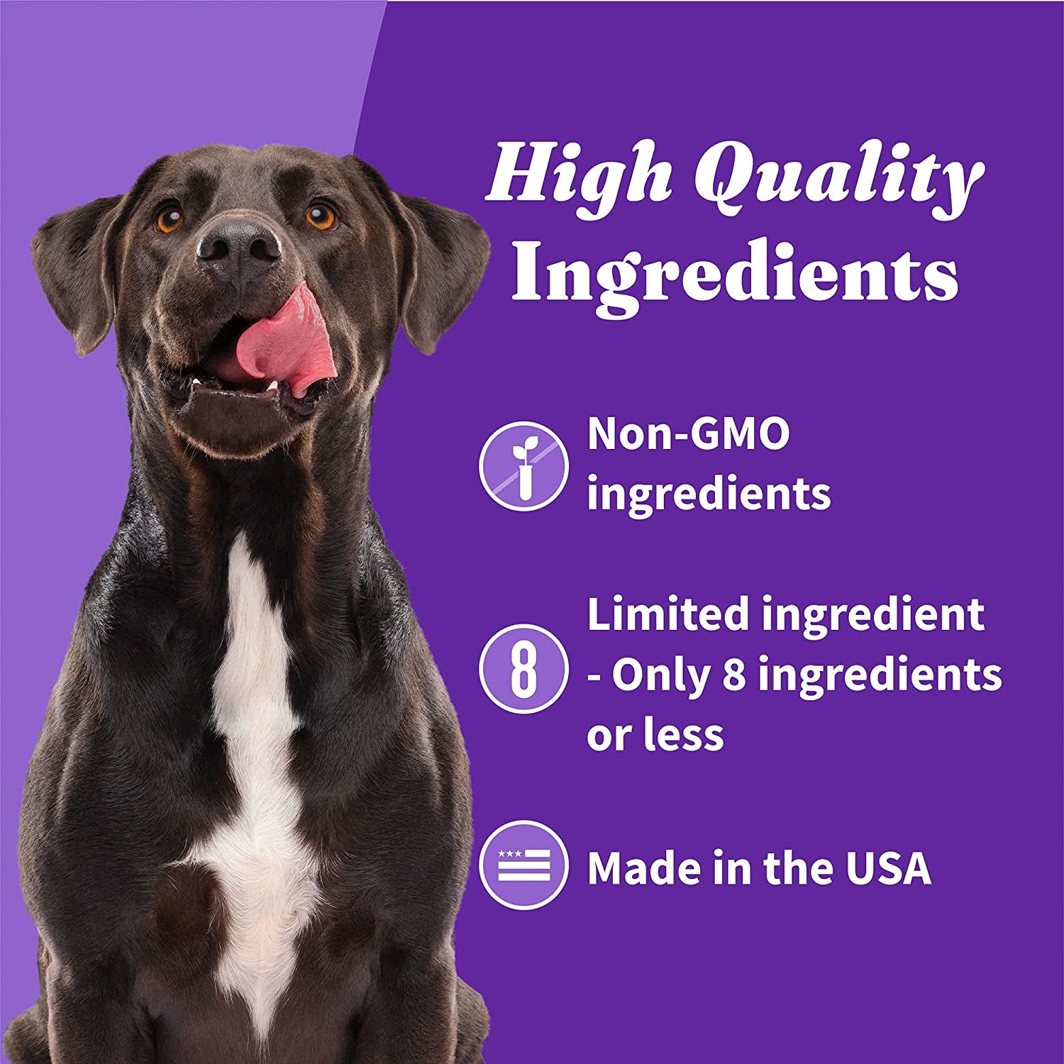 Plant-Based Dog Treats Variety Pack, Oats & Blueberries, Peanut Butter & Banana, Peanuts & Pumkin, Vegan Dog Treat Pouch, 8Oz Bag, 3 Count